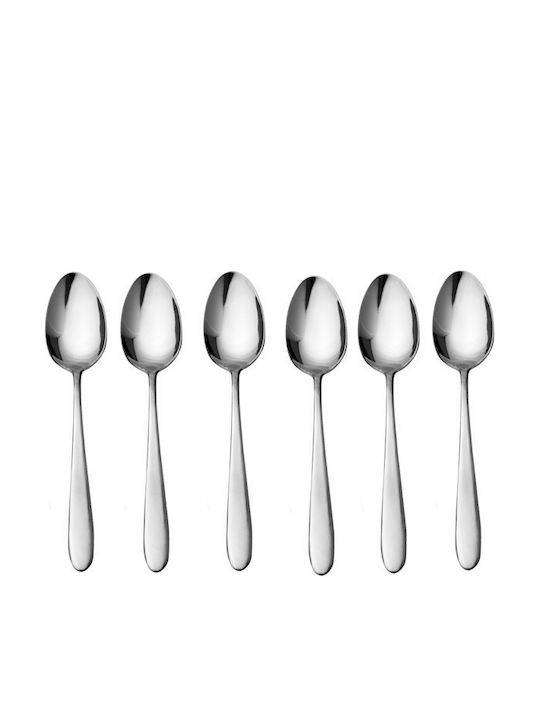 Raki Set Linguri Inox Argintii 6 Bucăți