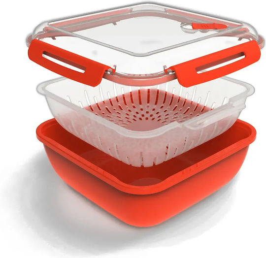 Rotho Babydesign Plastik Mittagsbox 1.7lt