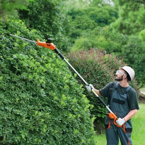 Vevor Hedge Trimmer Battery 20V Telescopic WXLLJYCYCGZBDJNH1V2