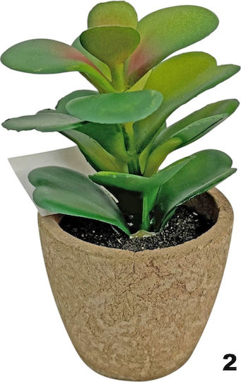 Kaktus Kunststoff 13,5cm Grün 21134-4 Code 16395 Kaktus Kunststoff 13,5cm Grün 21134-4 Code 16395