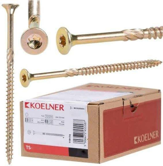 Screw With Diameter M6 And Length 100mm 50 Pieces
