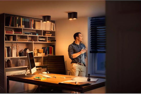 Philips Pillar Διπλό Σποτ σε Λευκό Χρώμα