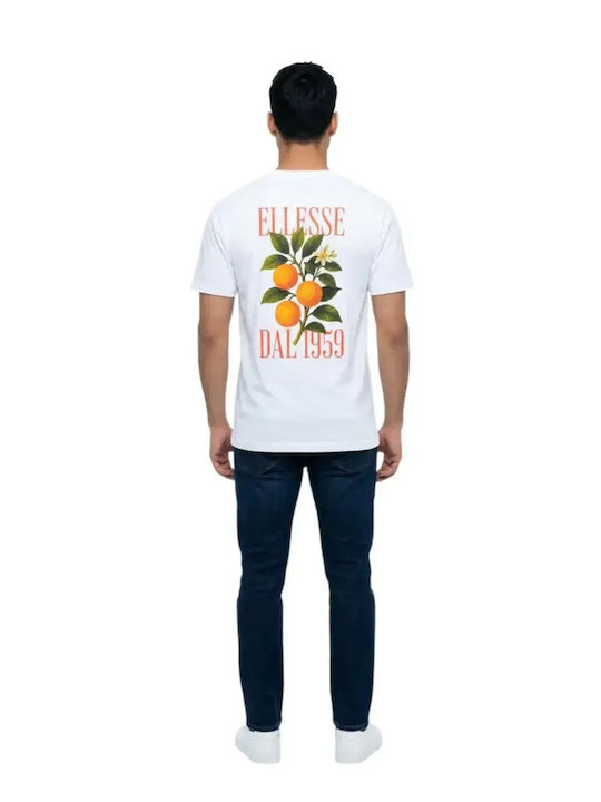 White T-Shirt