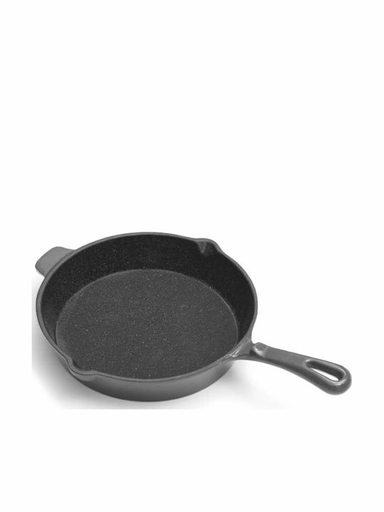 Cast Iron Pan with Enamel Coating
