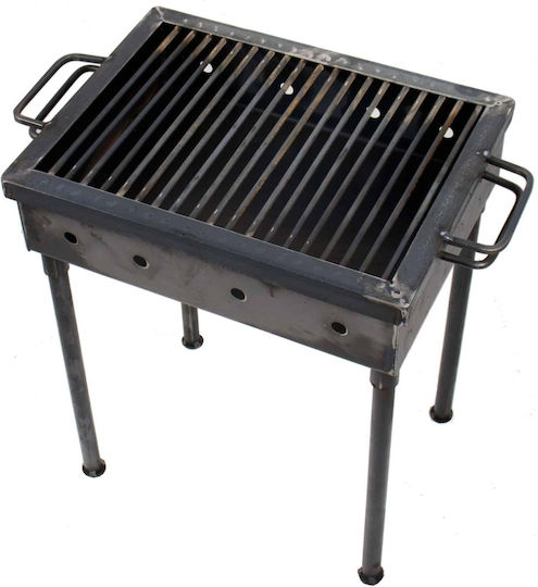 Metallischer Holzkohlegrill 40x30 cm 5207