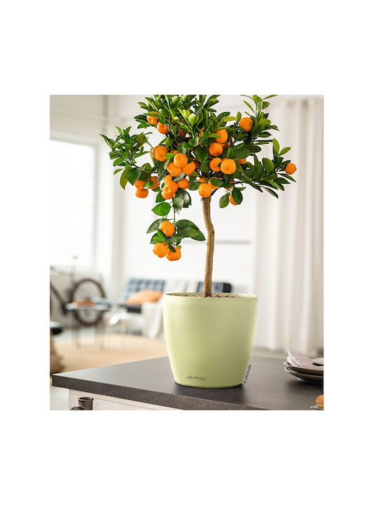 Lechuza Plastic Flower Pot Linden 42x42x40cm