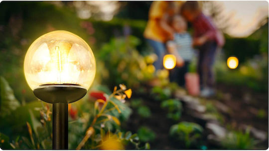 Transparent Solar Ball Light 4pcs Ilumen Ls-103
