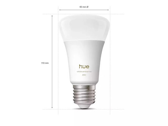 Philips Smart Lampen LED für Fassung E27 und Form A60 2Stück