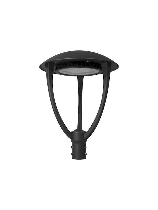 Geyer Wasserdicht Hängende Deckenleuchte für den Außenbereich mit integriertem LED in Schwarz Farbe LP.OPR.080.40