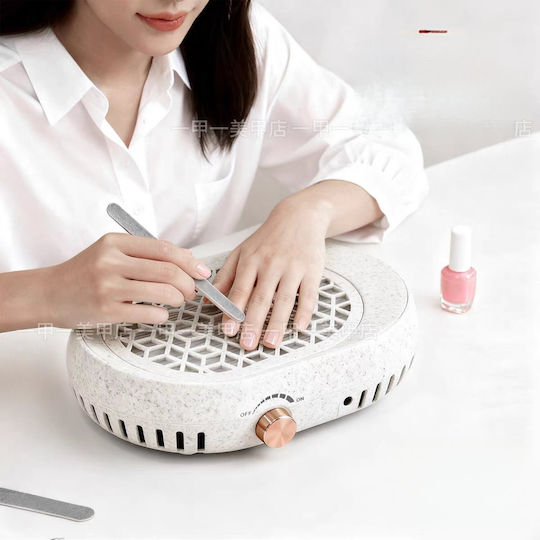 Dust Absorber Nails 100W