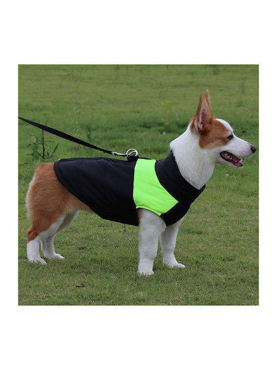 Animal Dog Coat Green Back Length 41 cm