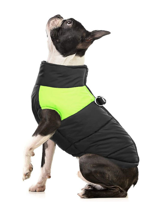 Animal Dog Coat Green Back Length 41 cm