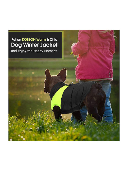 Animal Dog Coat Green Back Length 41 cm