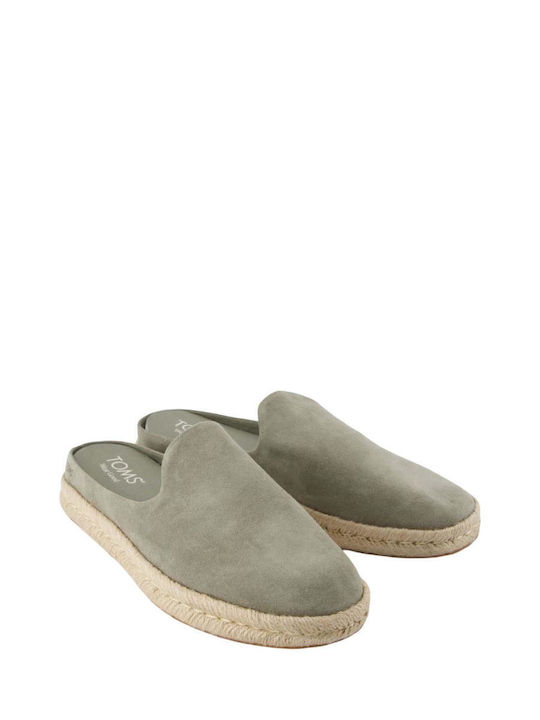 Toms