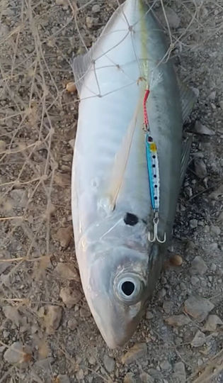 Noeby Τεχνητό Δόλωμα Πλάνος 7gr 02