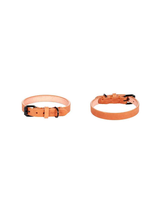 Flamingo Κολάρο Σκύλου Collar Leano Cognac S 29-35cm X 10mm