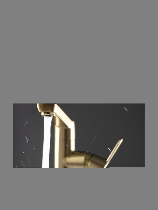 Deante Mixing Tall Sink Faucet