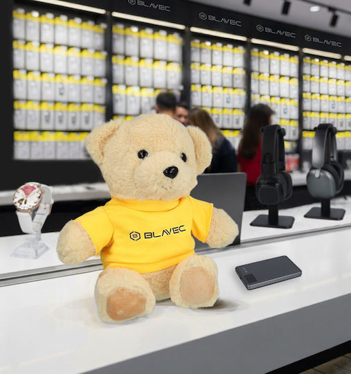 Teddy Plüschbär