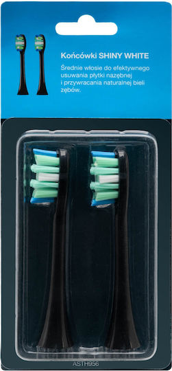 Original Toothbrush Head Götze & Jensen Ast955 Asth956 2 Pcs Teeth Whitening