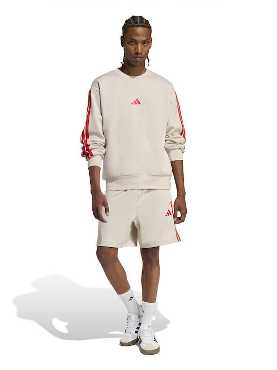 Sport Herren Shorts Beige