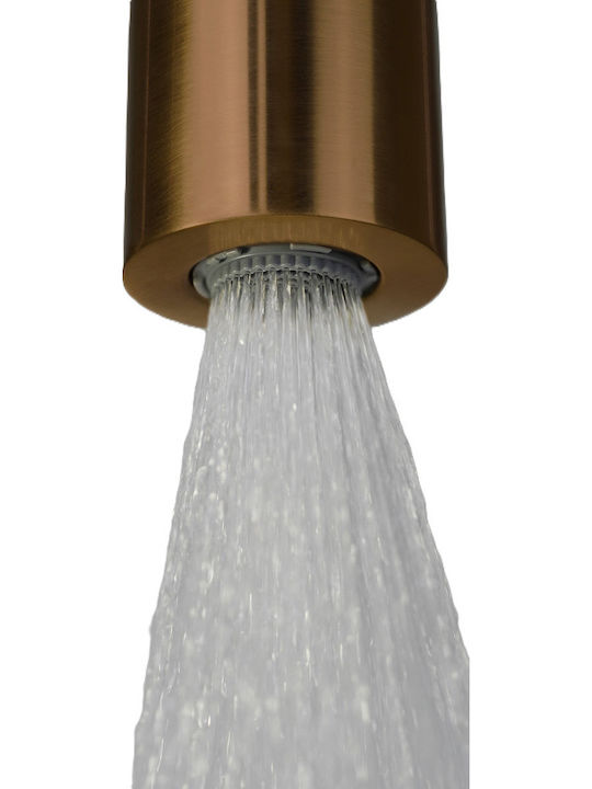 Deante Shower Column with Mixer Bronze