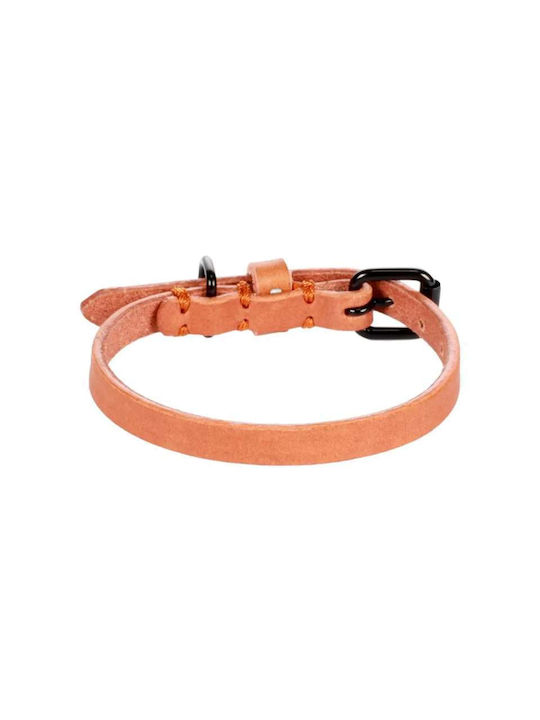 Flamingo Collar Leano Cognac 31-39cm/20mm
