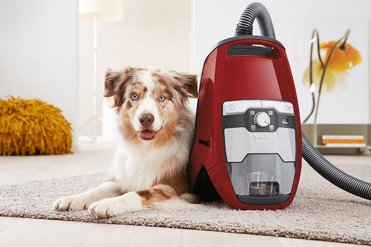 Miele Blizzard CX1 Cat & Dog PowerLine Staubsauger 890W Eingetütet 2Es Rot