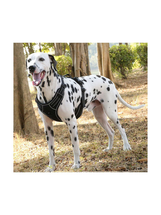 Animal Dog Harness Vest Black Large 22.08.25493