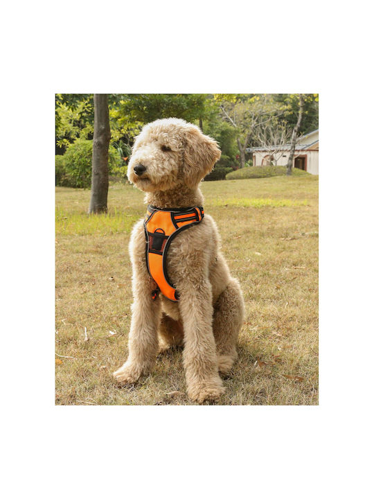 Animal Dog Harness Vest Orange X-Large 22.08.25500