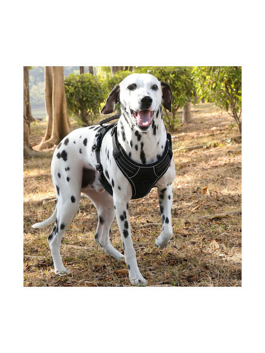 Animal Dog Harness Vest Orange Large 22.08.25499