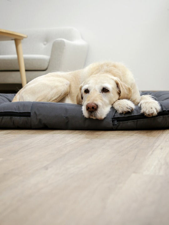 Kerbl Oxford Place Pillow Dog Rectangle Light Blue 120x85cm