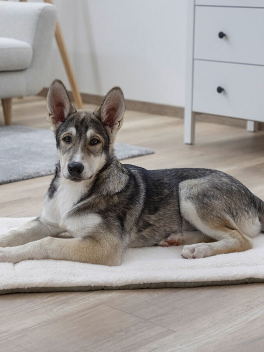 Kerbl Cleo Rug Dog Gray 43x23cm