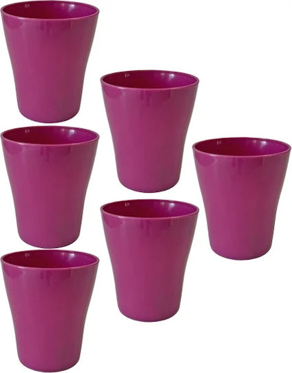 TnS Glas für Party 6Stück