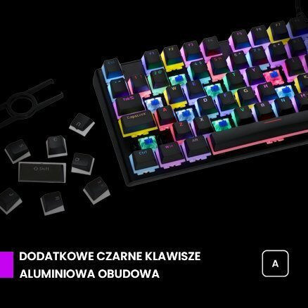 Preyon Blitz Claw Gaming Μηχανικό Πληκτρολόγιο Tenkeyless με Gateron Blue διακόπτες και RGB φωτισμό (Αγγλικό US)