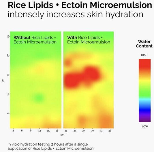 The Ordinary Rise Lipids & Ectoin Microemulsion Light Ενυδατικό Γαλάκτωμα Προσώπου κατά της Ερυθρότητας με Ρύζι