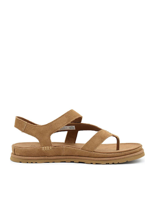 Women's Sandals Brown