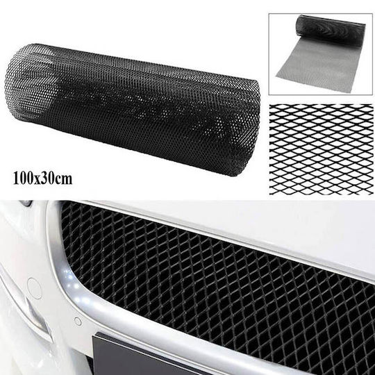 Auto Gs Car Decorative Grill 100cm x 30cm Black Color