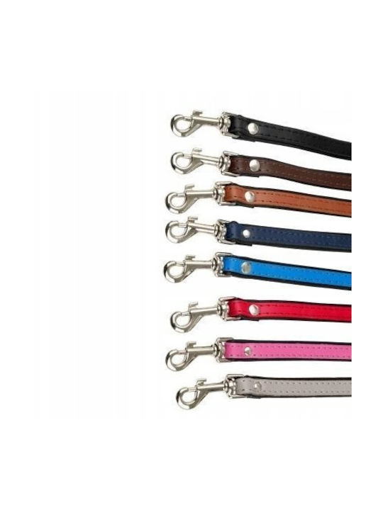 Leder Hundehalsband Schwarz Schwarz M-l 16mm/45cm