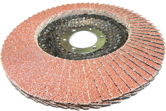 Andre Disc De Șlefuire 125mm P40 Eco Line Disc Cu Flipe Varianta Ii