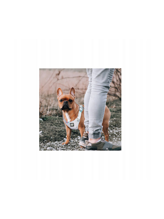 Harness Dog Small Breeds Gray L Neck Circumference 35-46cm Chest Circumference 42-58cm