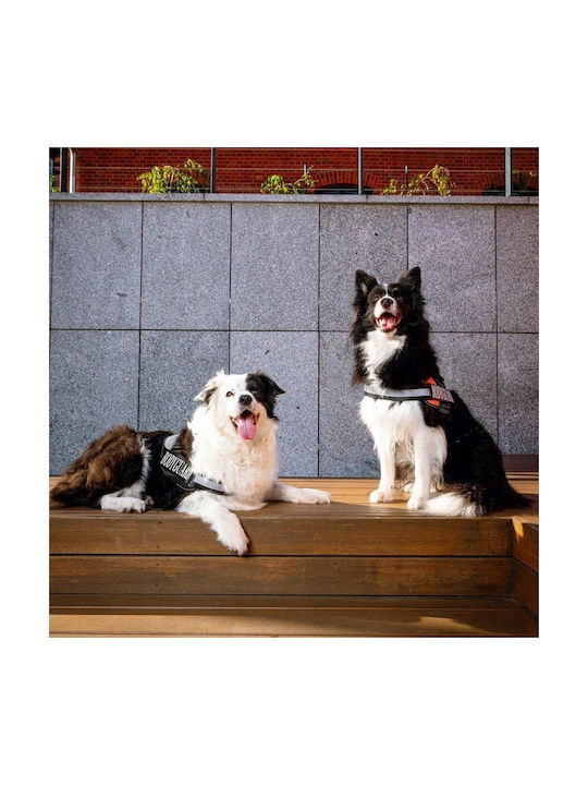 Ham Pentru Câine Bodyguard Negru L 65-85 Cm