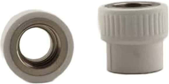 Conector Ppr Filet Interior 20mm 1/2 Inch Z-tools Ext7029