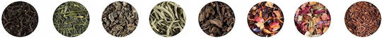 Green Tea Miss Dammann Copper Tin 100g