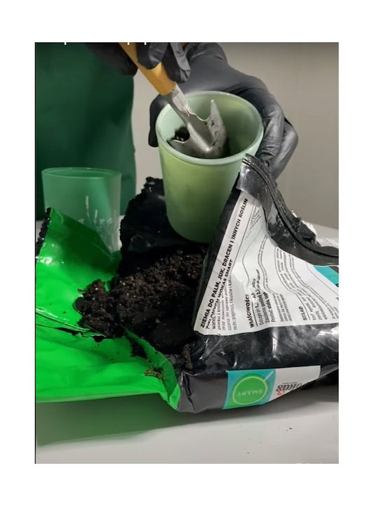 Lumânare Aromatică cu Miros de Pătrunjel 150 G Unisex