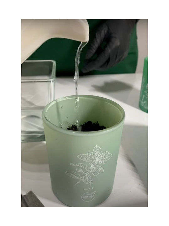 Aroma Home Basil Duftkerze 150 G Unisex