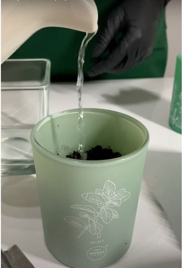 Aroma Home Basil Scented Candle 150 G Unisex