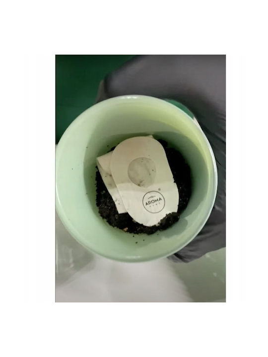 Aroma Home Thyme Scented Candle 150 G Unisex