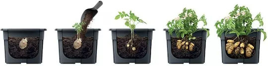 Black Flower Pot