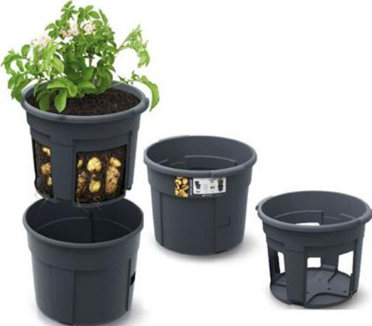 Black Flower Pot