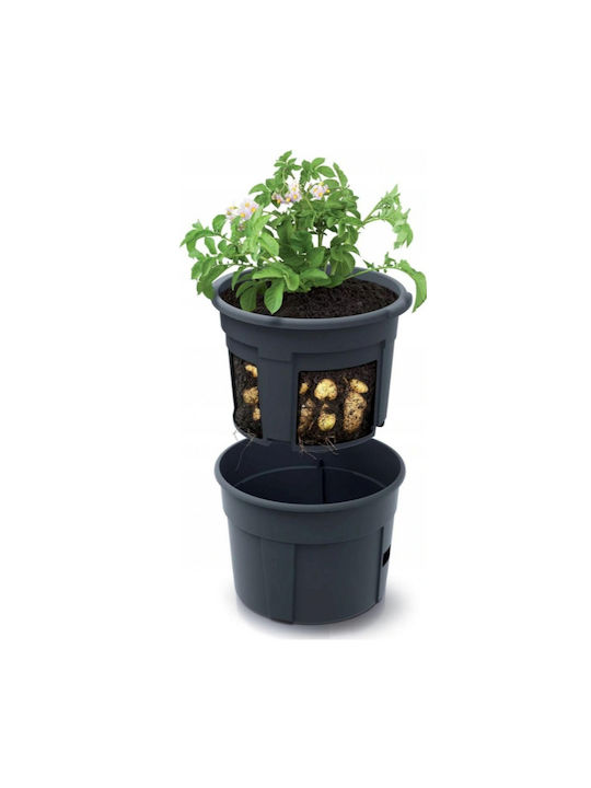 Blumentopf Schwarz